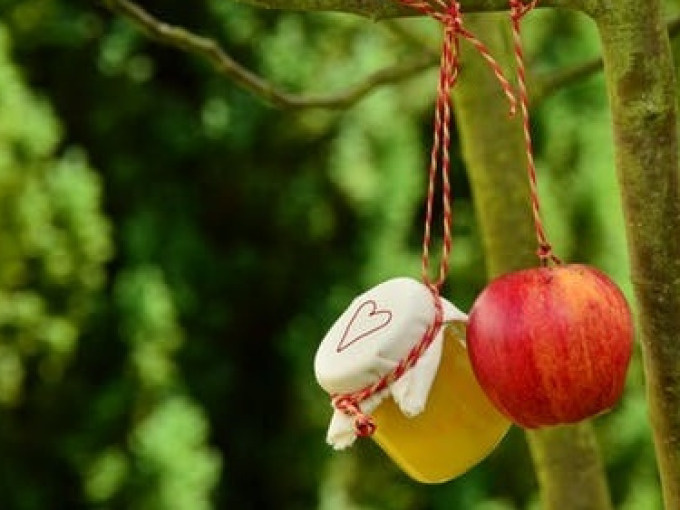 Von Goethe bis Kishon – Literarischer Spaziergang durch den Schaugarten