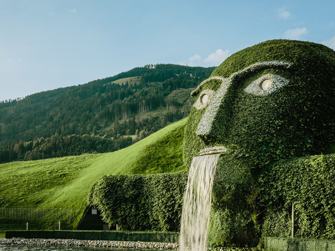 Nature Watch - Führung im Usterberg