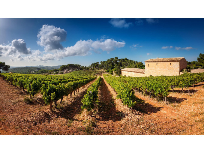 Flavors of the Sun – Mallorca Wine Experience - English and Spanish language only