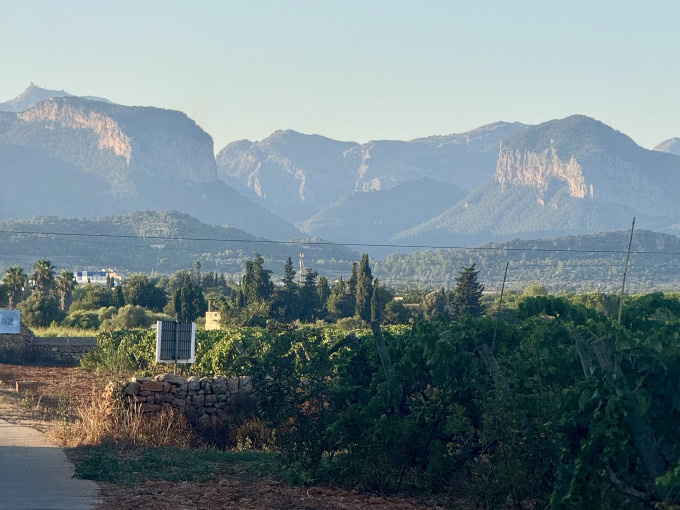 Santa Maria Mallorca Wein Erlebnis pur