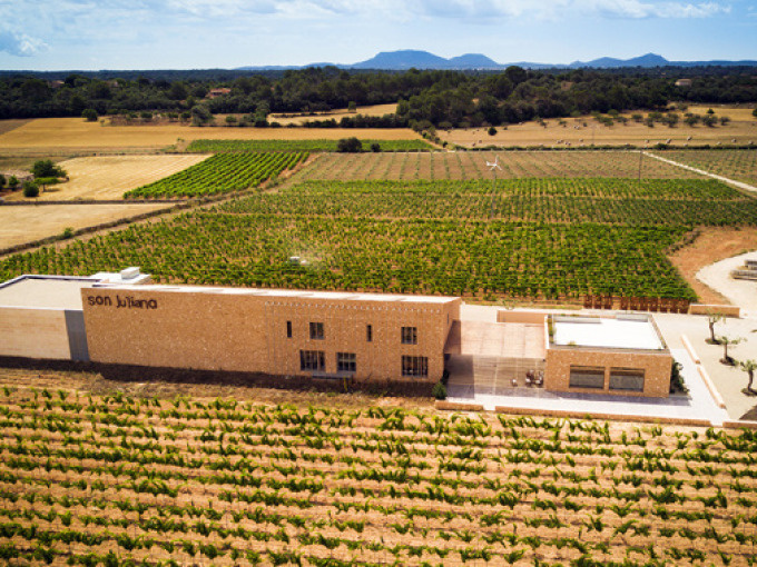 Bodega SON JULIANA Santa Eugenia- Besichtigung und Verkostung