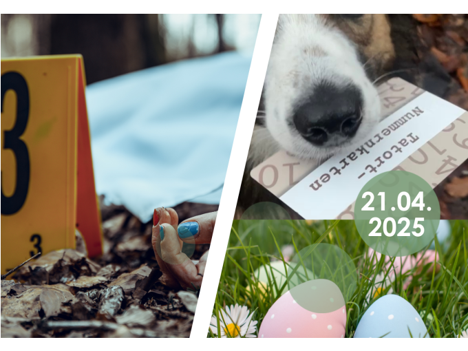 Der Lotto-Gewinn: Krimiwanderung mit Hund