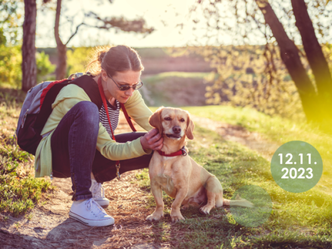 Massage-Workshop Hund an der Mosel