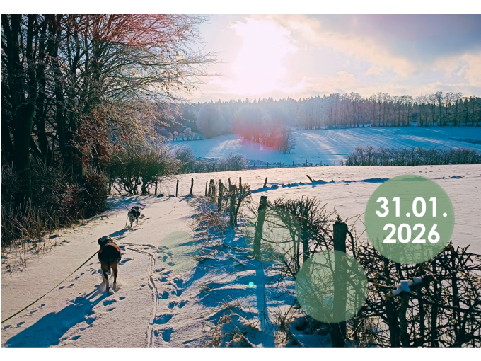 Winterwanderung Monschau  Mützenich 