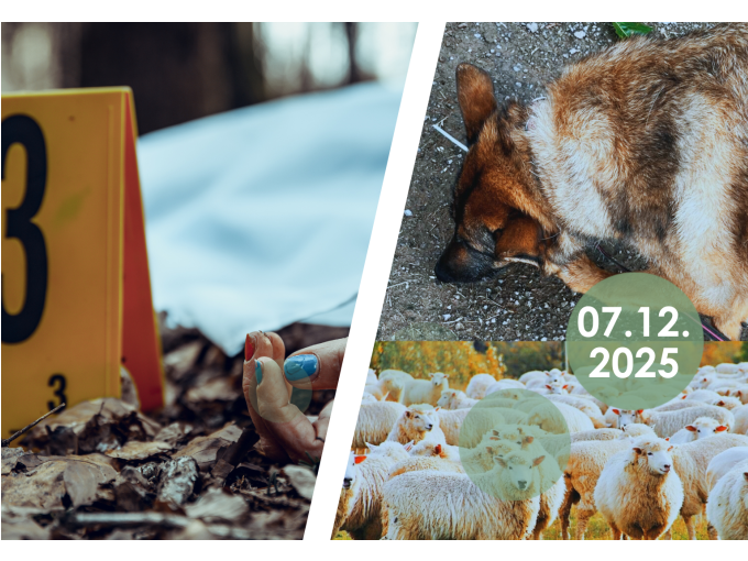 "Die verschwundene Stunde": Krimiwanderung mit Hund