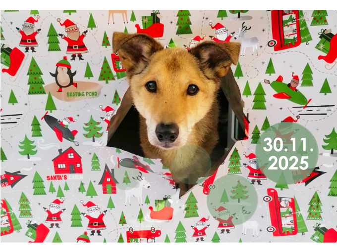 "Froschkönig" Premium-Wanderung