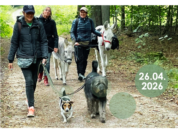 Tiergestützte Wanderung mit Eseln