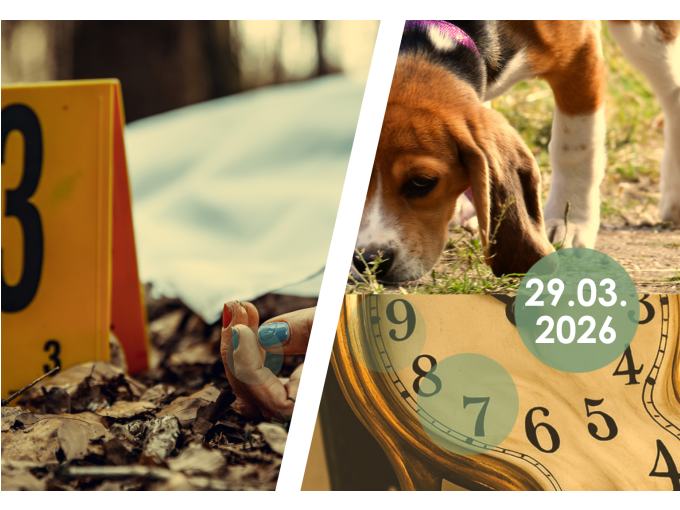 ZUSATZTERMIN: "Die verschwundene Stunde": Krimiwanderung mit Hund