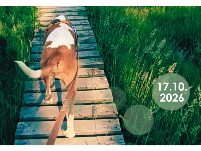 Foto-Walk im Struffelt