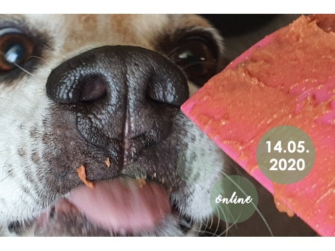 Online-Backstudio für Hundekekse