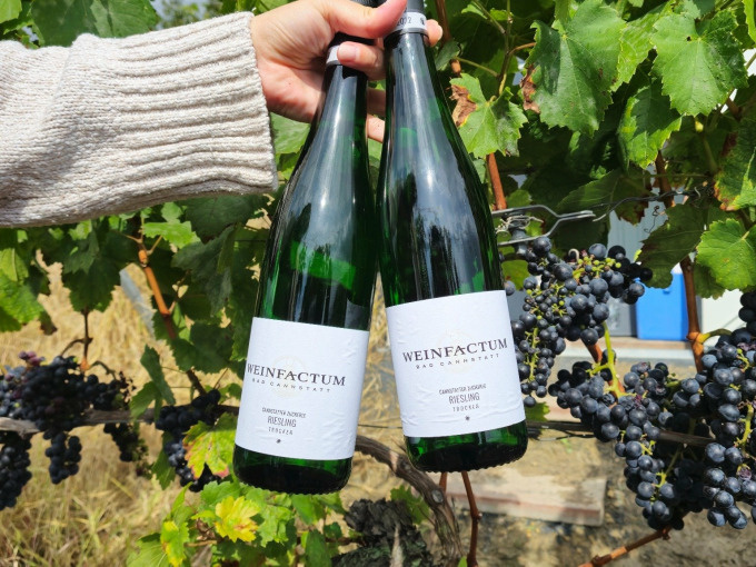 Weinsafari für Gruppen 