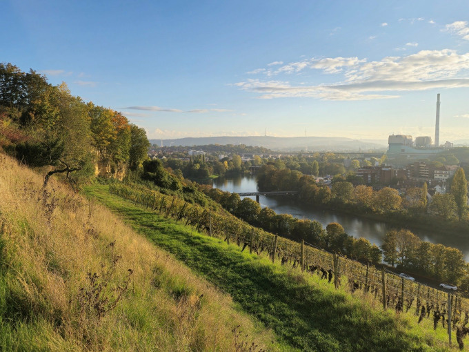 Rivership Flunder - Sunrise & Breakfast Tour VFB