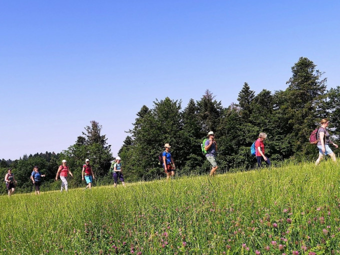 Marathonwanderung LIGHT | Wälderhufeisen