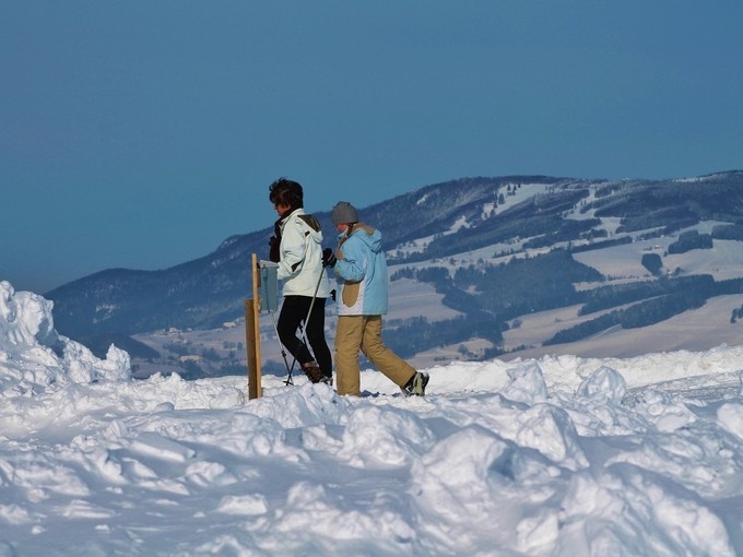 Panoramatour auf den Schwarzwaldhöhen