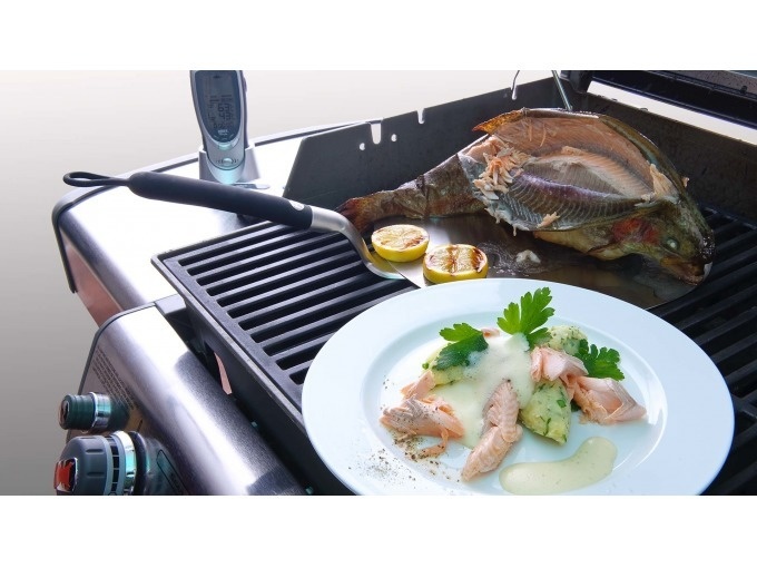 Best of Grill Academy