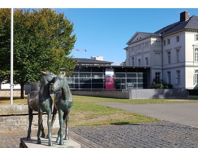 Museumsticket - 7 Stunden  