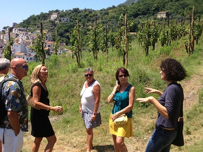 COSTIERA AMALFITANA: Wine Tour + Cooking Class