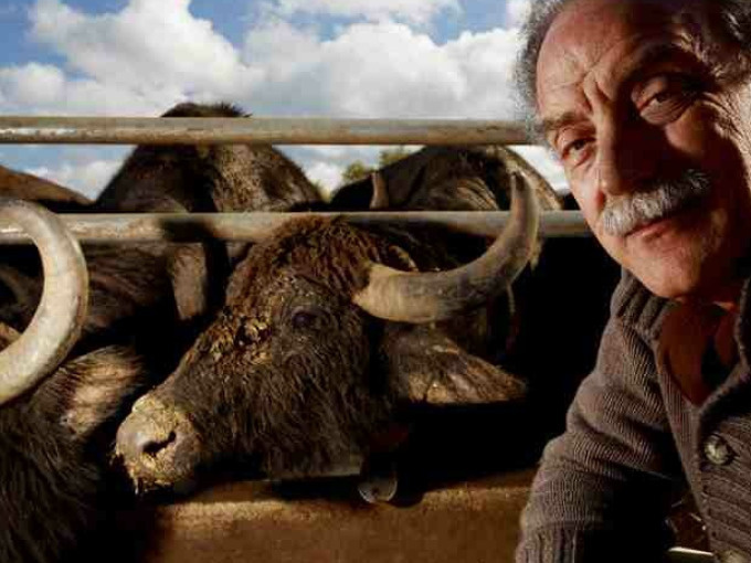 Templi di PAESTUM & Mozzarella Experience