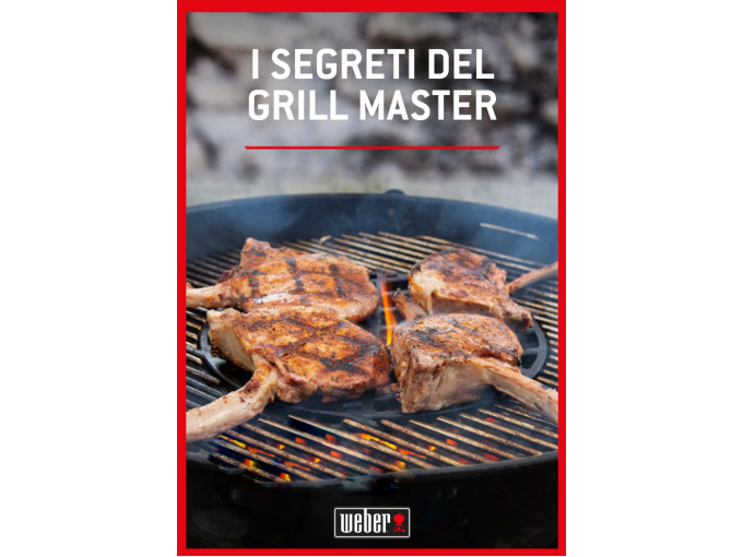 I SEGRETI DEL GRILL MASTER image 1