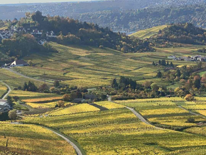 Sundowner-Tour am Herzogenberg - Wein trifft Abendsonne